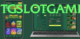 TG Slot Game